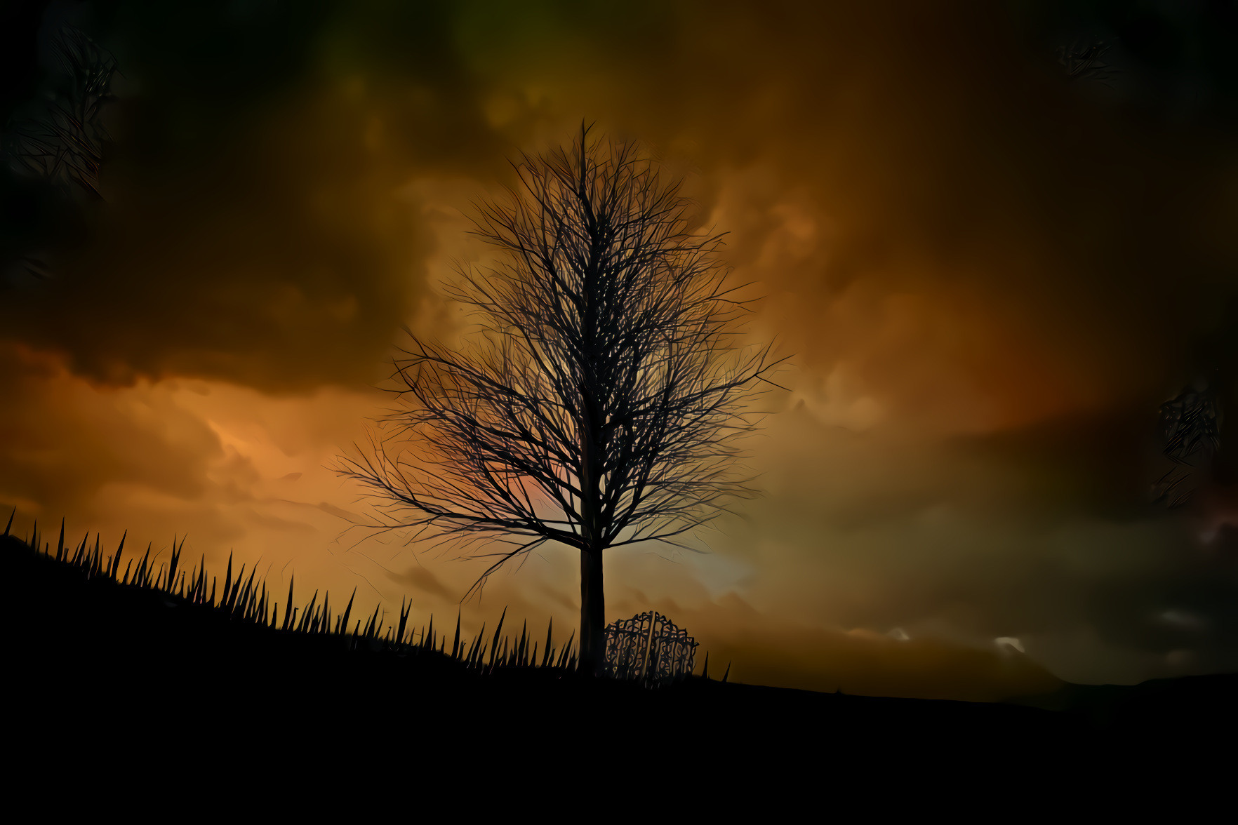 Lonely Tree, Clouds
