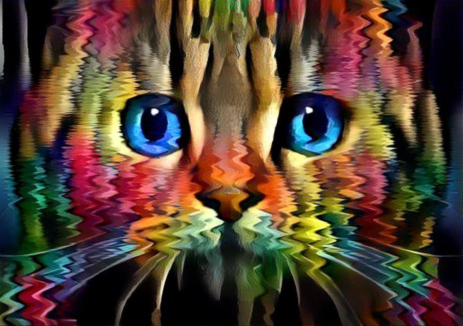 Cat on rainbow