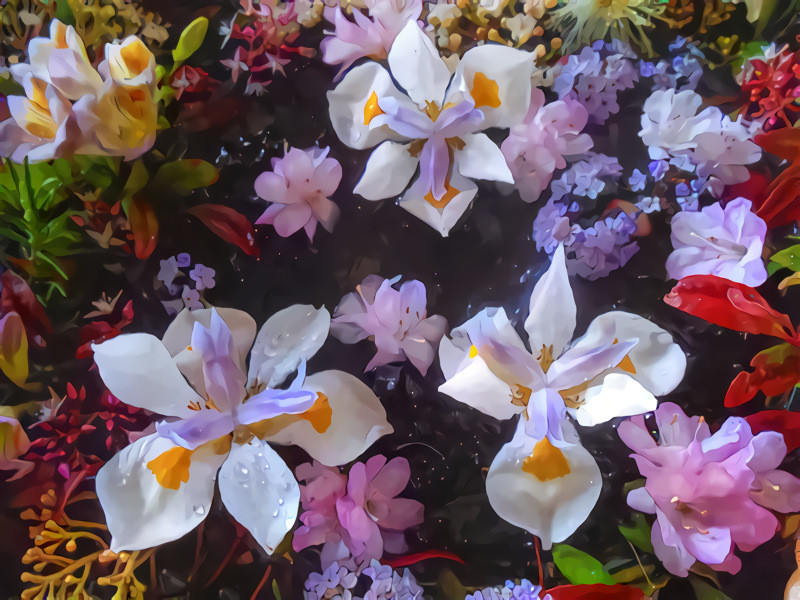 'Spring pond with Freezias and Wild iris: Dietes grandiflora.' Style: 'Arrival of Spring' by Michael Leunig. Base image: Ephemeral art and photography: ©Alison Lee Cousland.