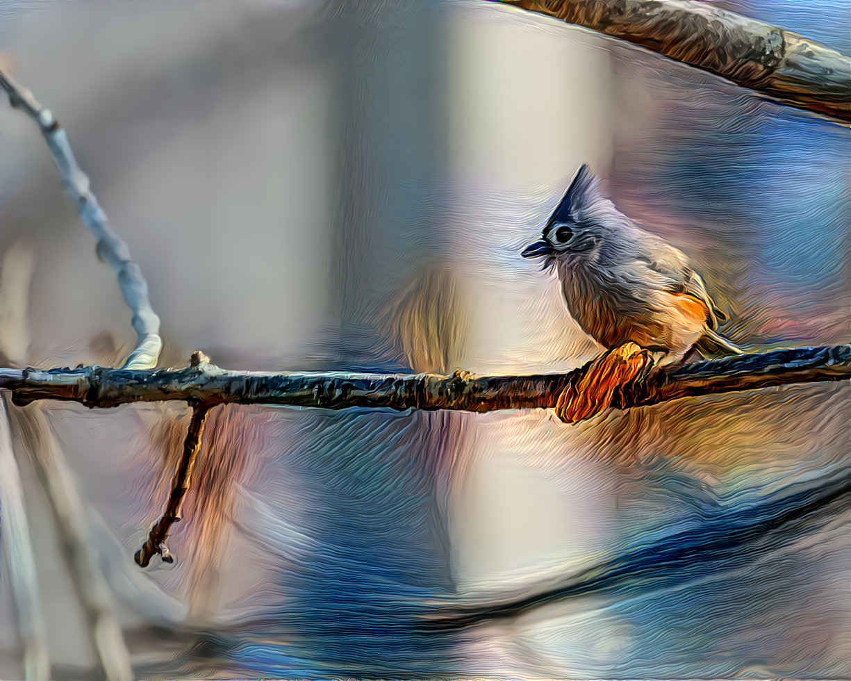 Tufted Titmouse with a Peanut