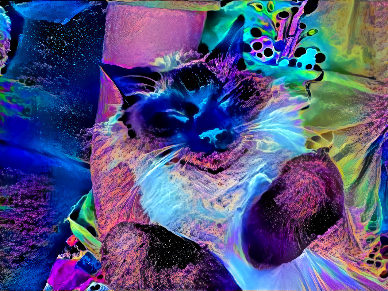 space/colour cat