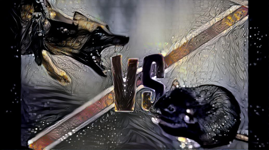 Dog vs Rat