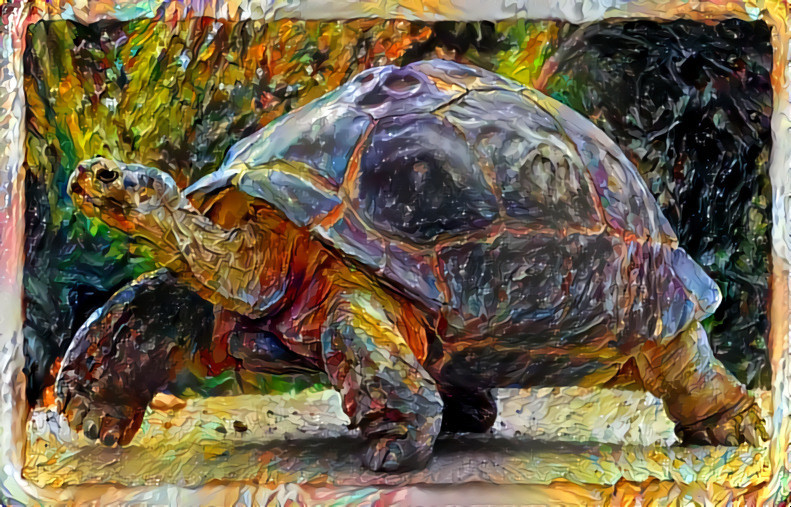 Giant Tortoise-Textured Paint