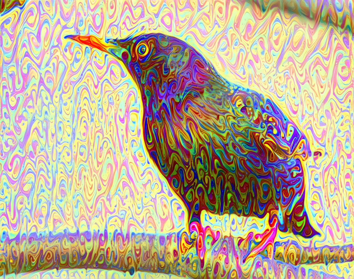 Melting Rainbow Bird (Style by Daniel W. Prust)