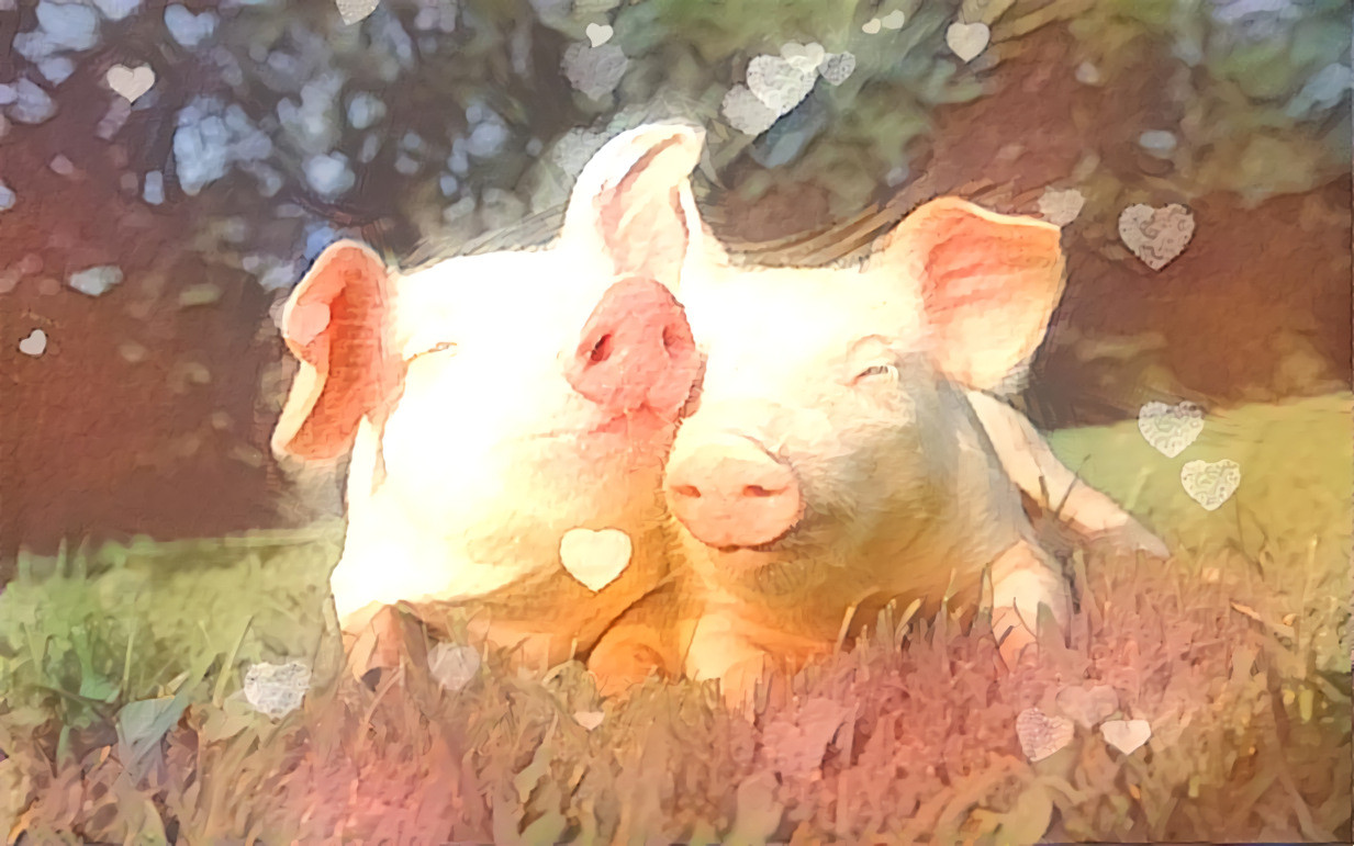 Pig Love
