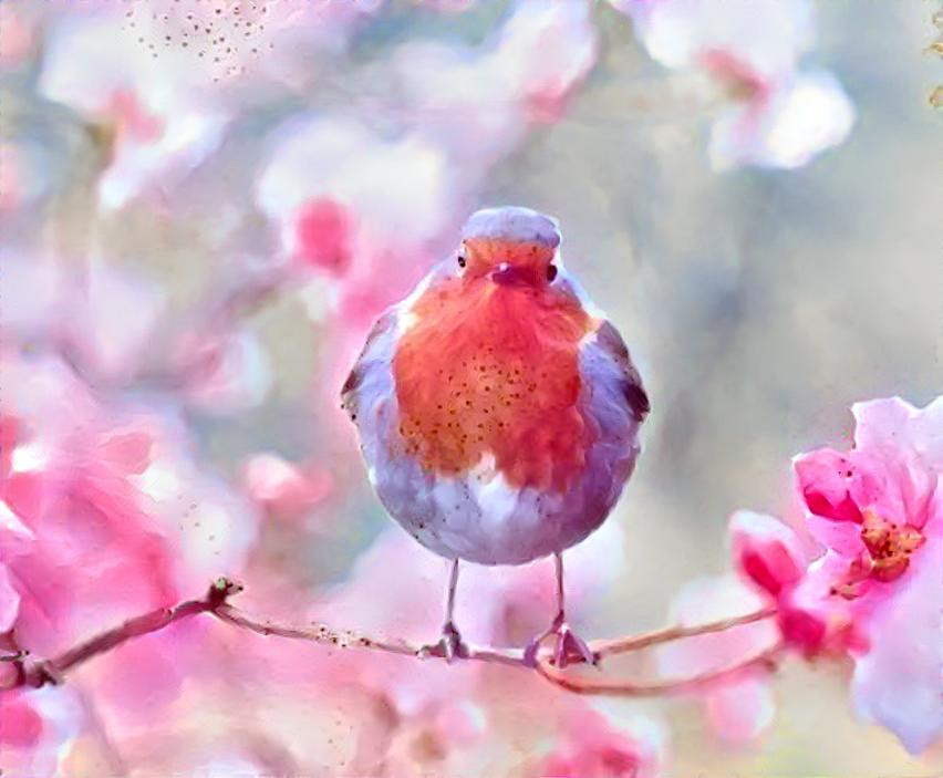 darling litlle bird in spring