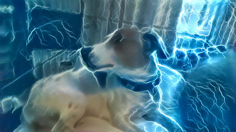 Electro dog part 2