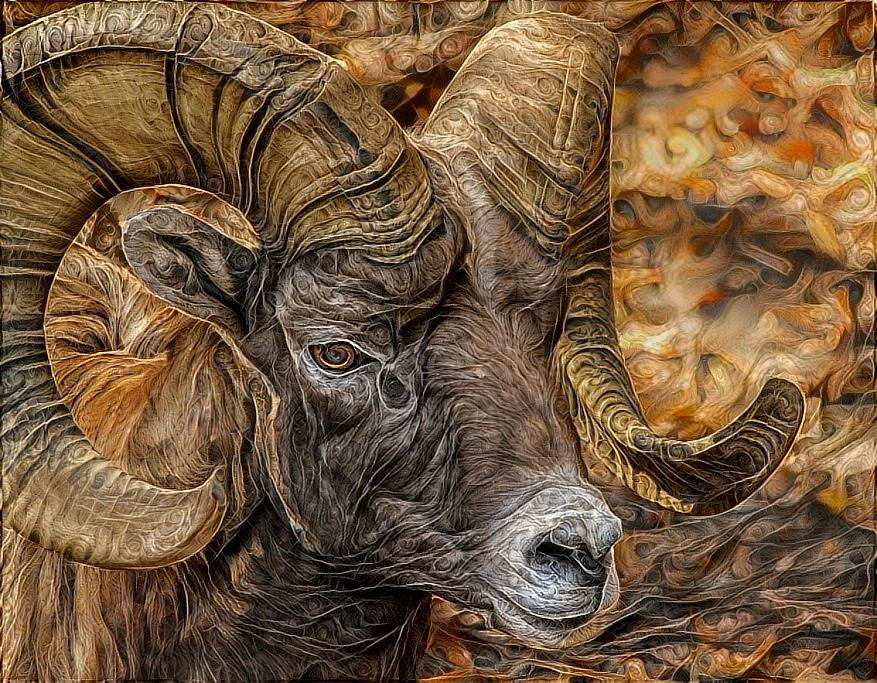~ Bighorn Sheep ~