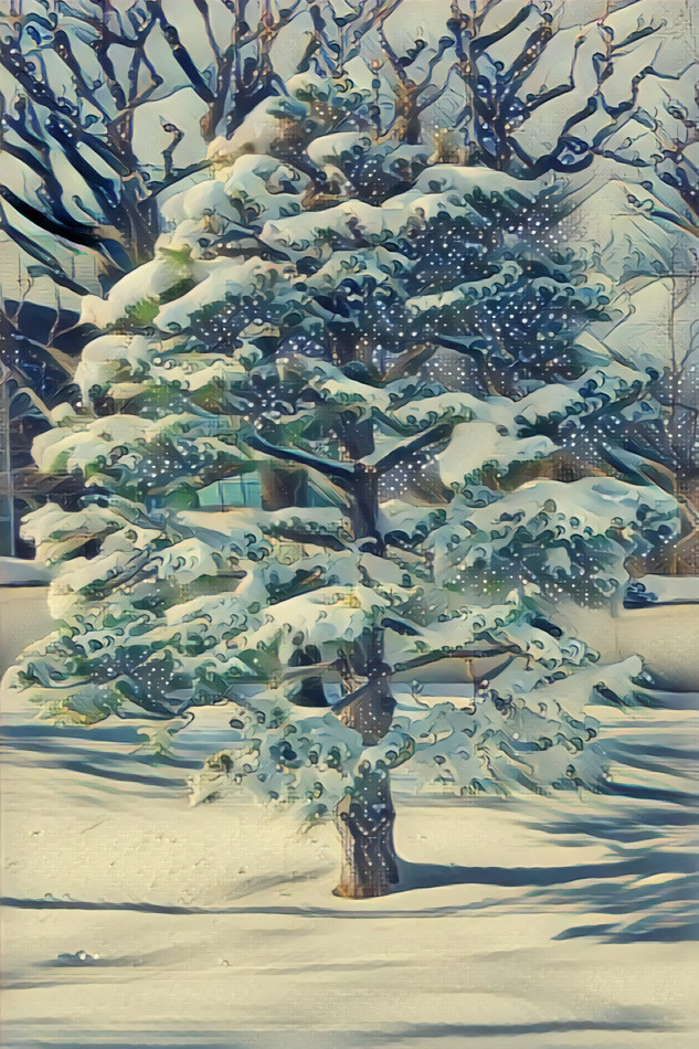 Snowy tree - Japanese Garden