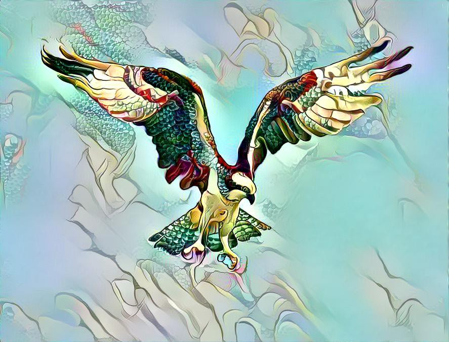 Dragon Eagle
