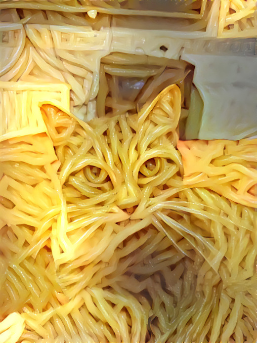 Spaghetti cat