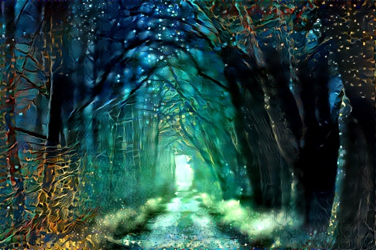 Enchanted Forest (Photo Credit : jplenio / Pixabay).
