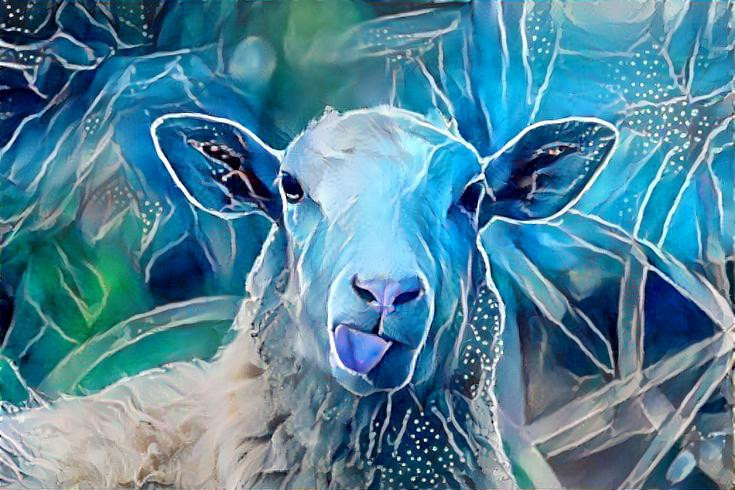 Blue Sheep 2
