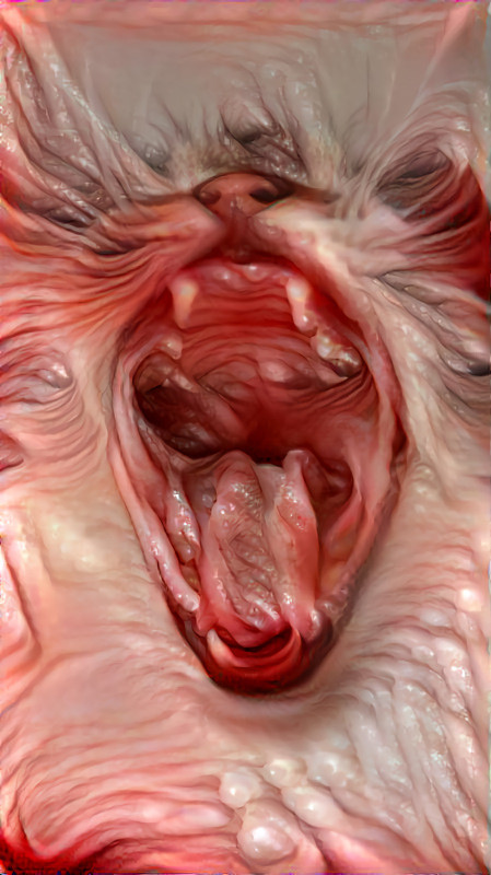 cat yawning - retextured, throat, 2