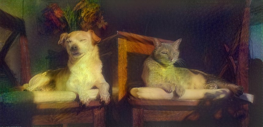 goose the dog and dinah the cat basking