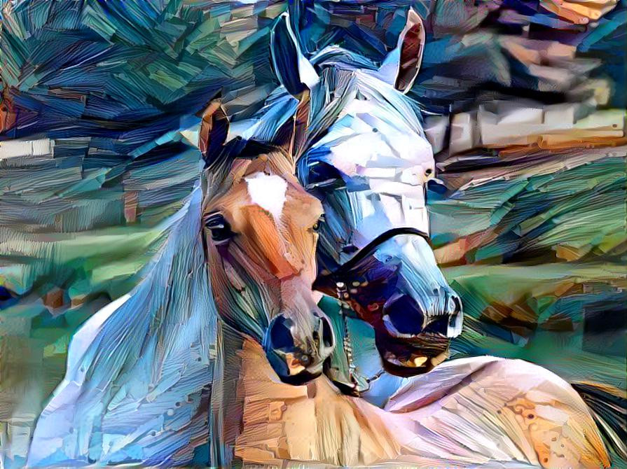  Horsey love