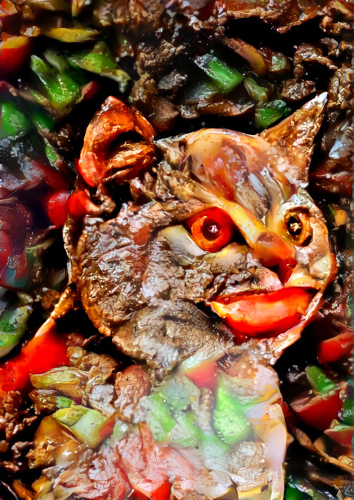 cat with human smile, made from beef stew