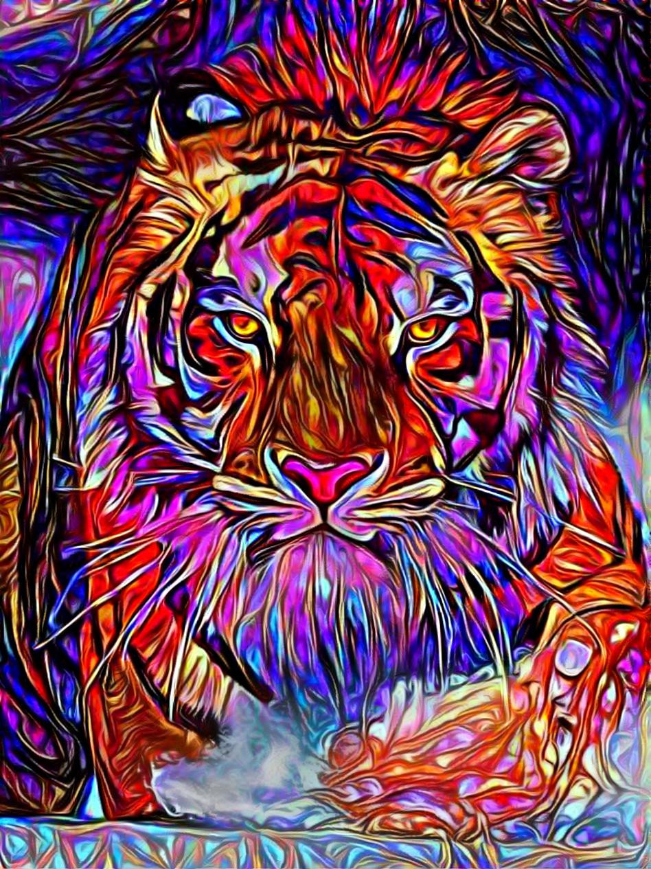 Tiger, tiger burning bright