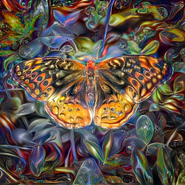 Dreamy butterfly