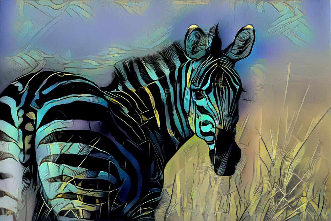 zebra lighting up the night