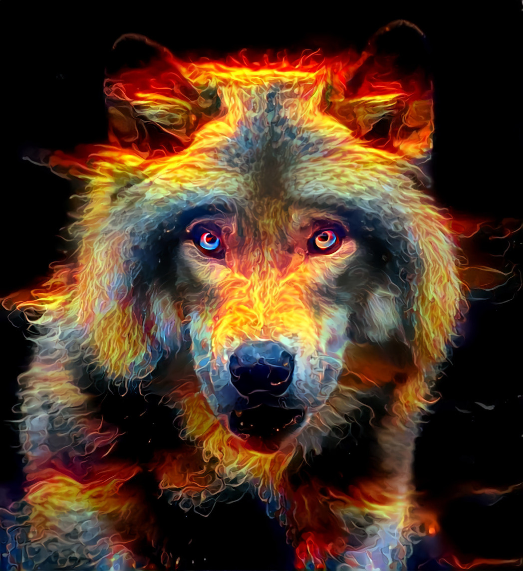 Wolf On Fire [1.2MP]