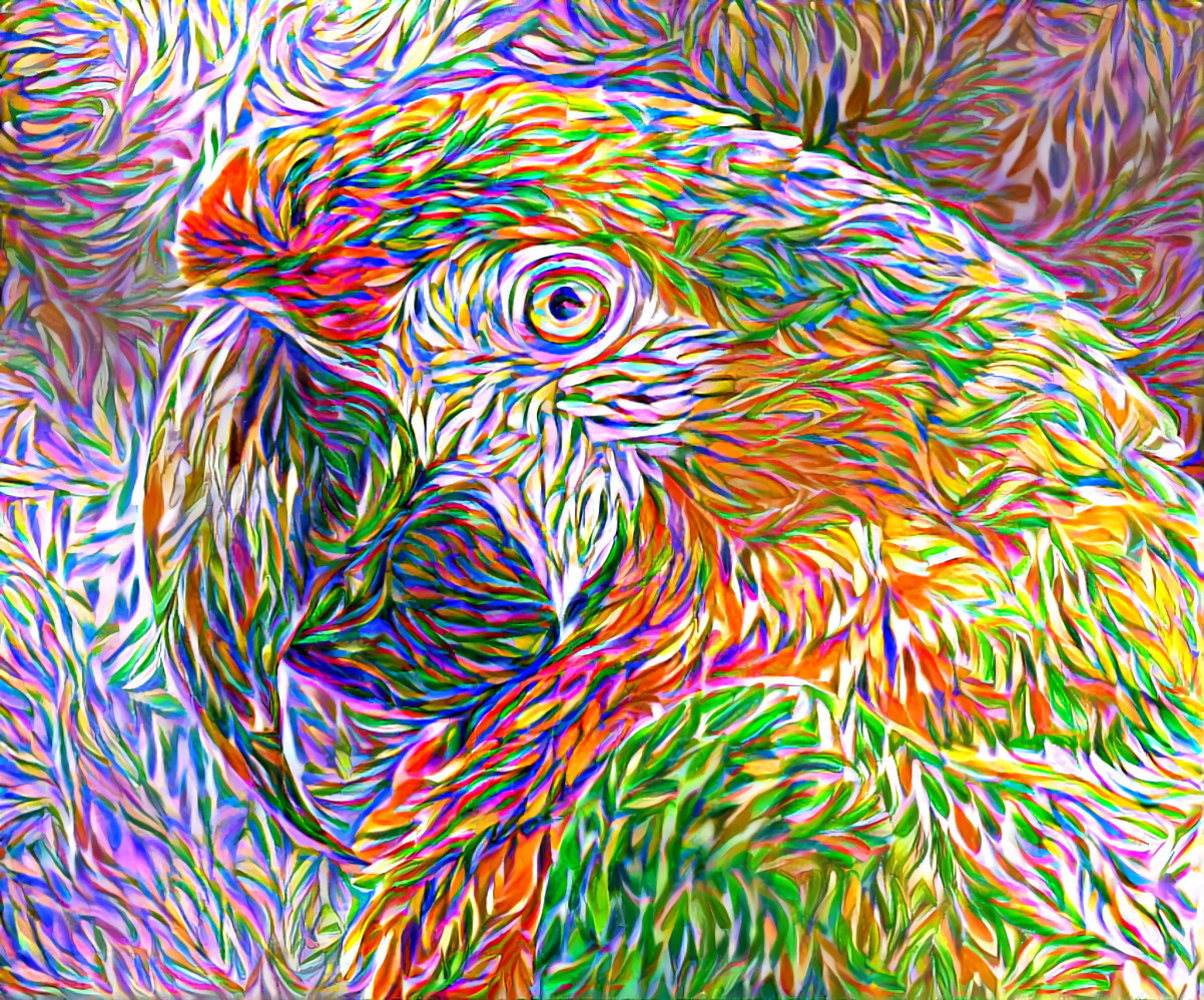 Style Transfer Parrot Art - DWP Remix