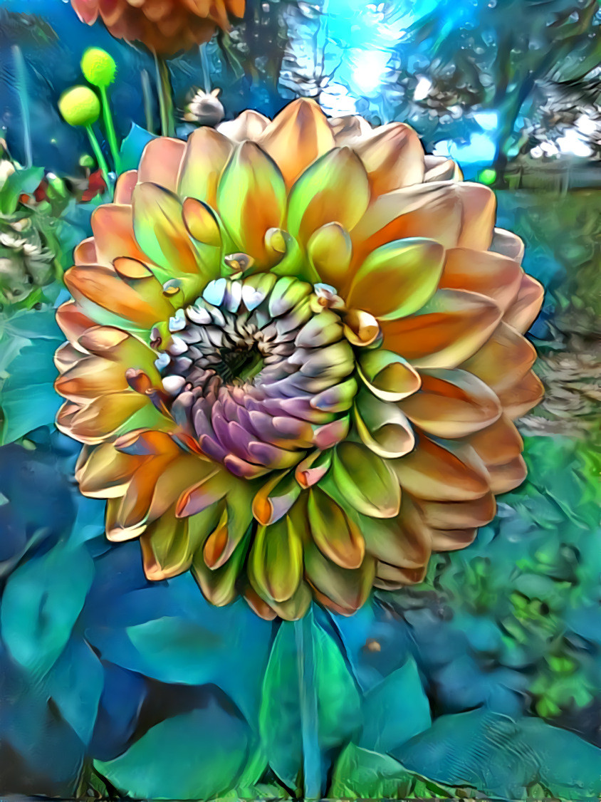 'A Dahlia' - Source Image [TY, SparkyRoots!]: https://www.flickr.com/photos/78809283@N00/45767578502/in/album-72157700202321872/