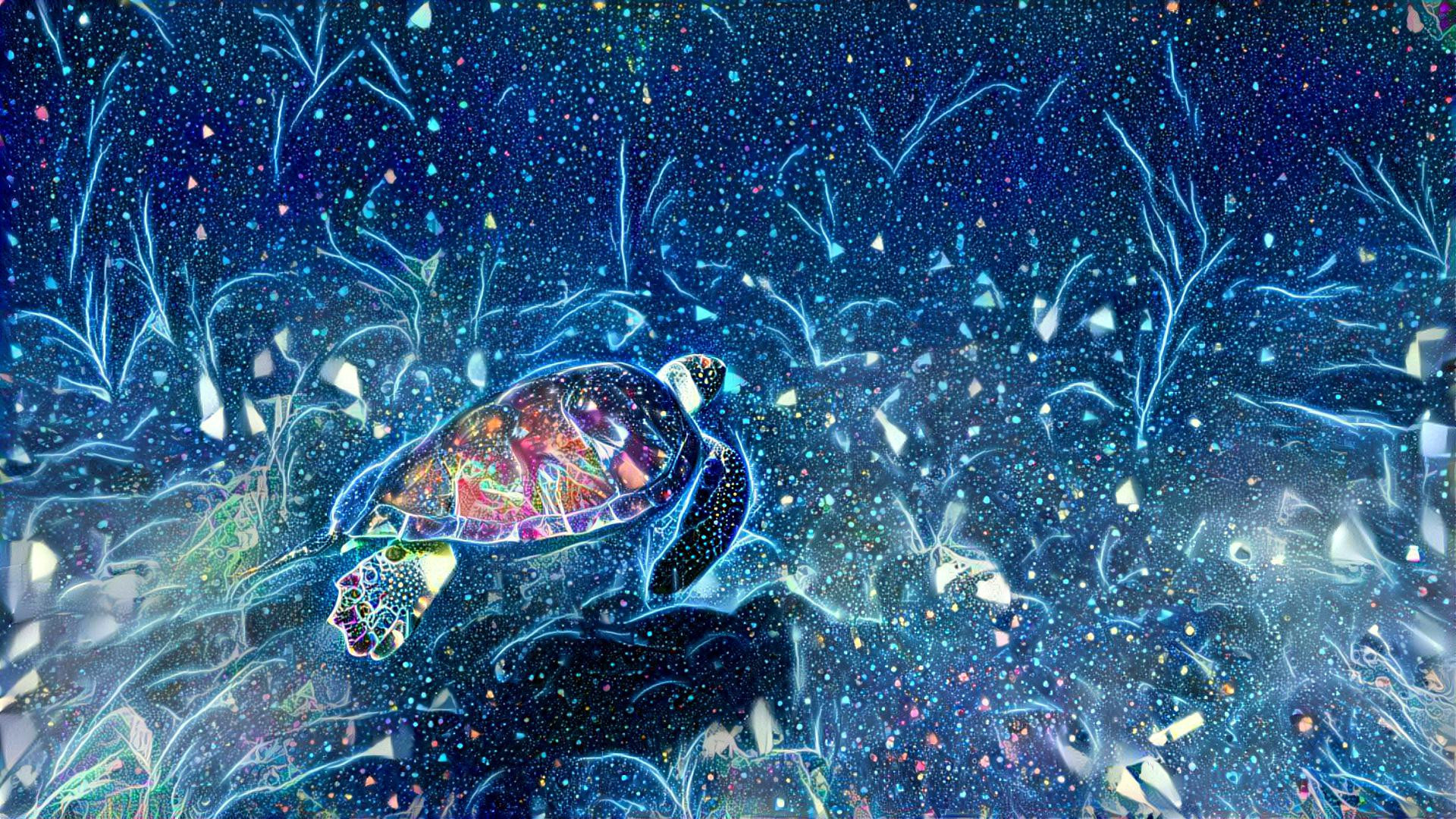 space turtle