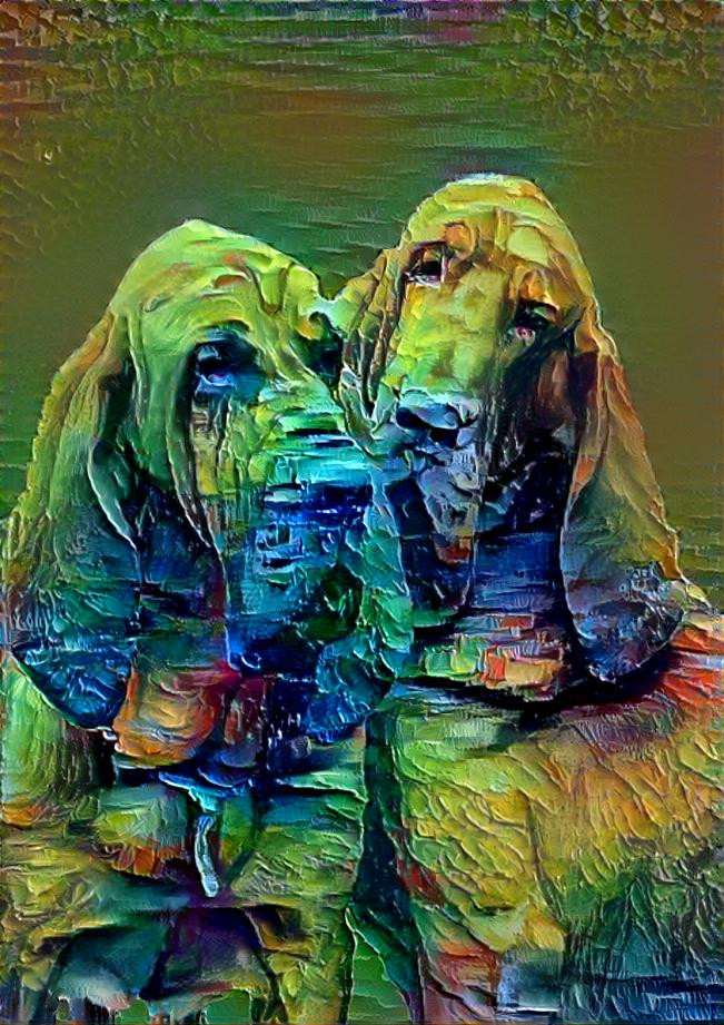 My bloodhounds: Peppino & Rufus