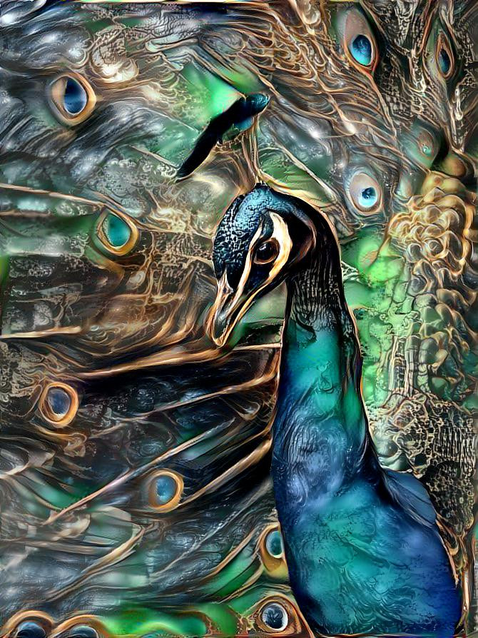 Peacock Phantacy