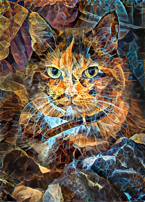 The Elemental Feline