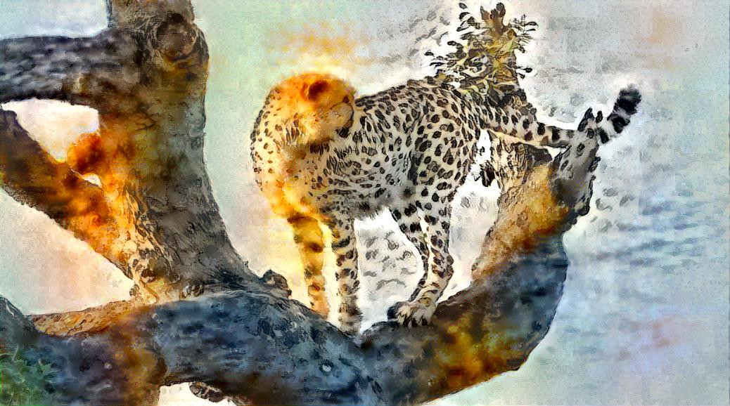 Cheetah in a Tree