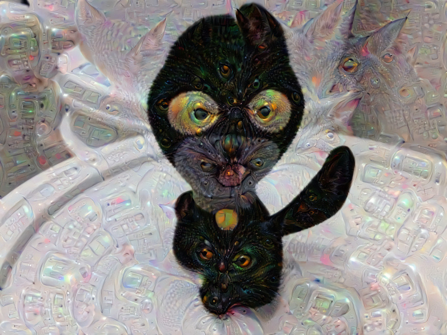 Plush Cat /w cat dream