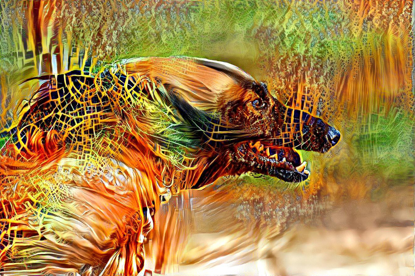 Speedhound 2 (Image by Herbert Aust from Pixabay)