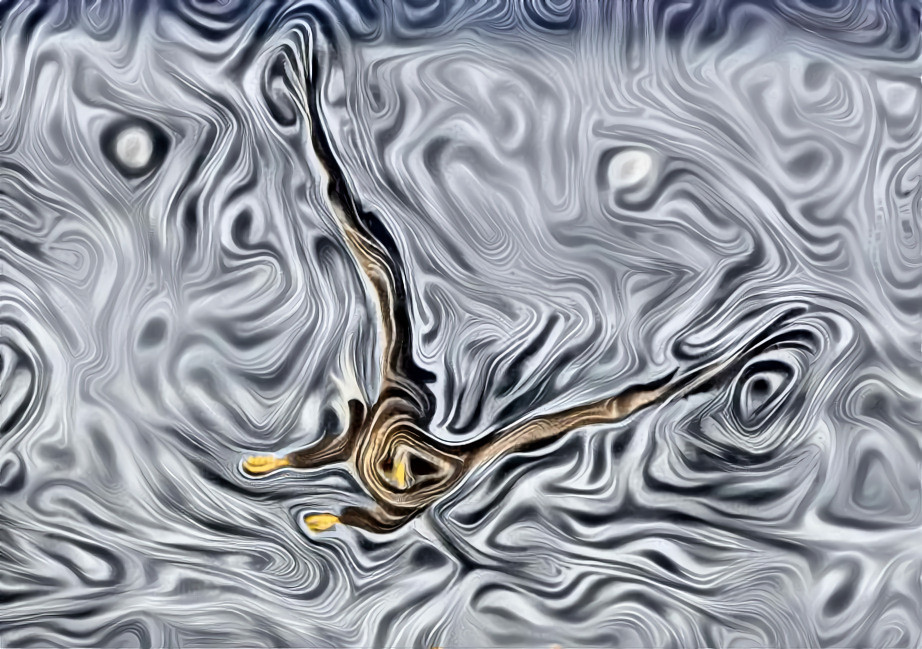 Eagle swirls