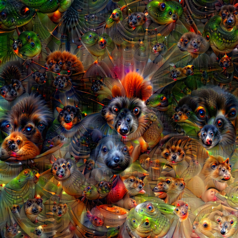 dogs and dmt