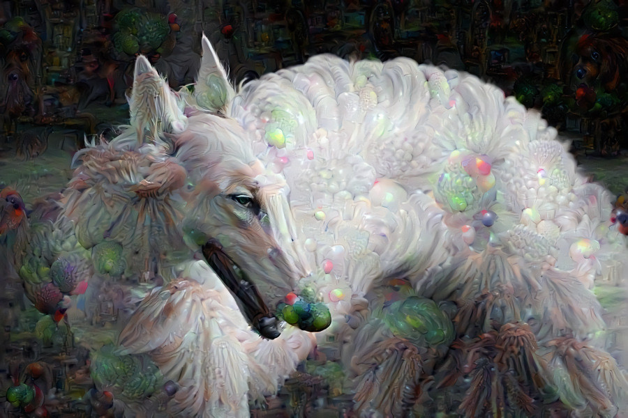 Borzoi, Russian Greyhound