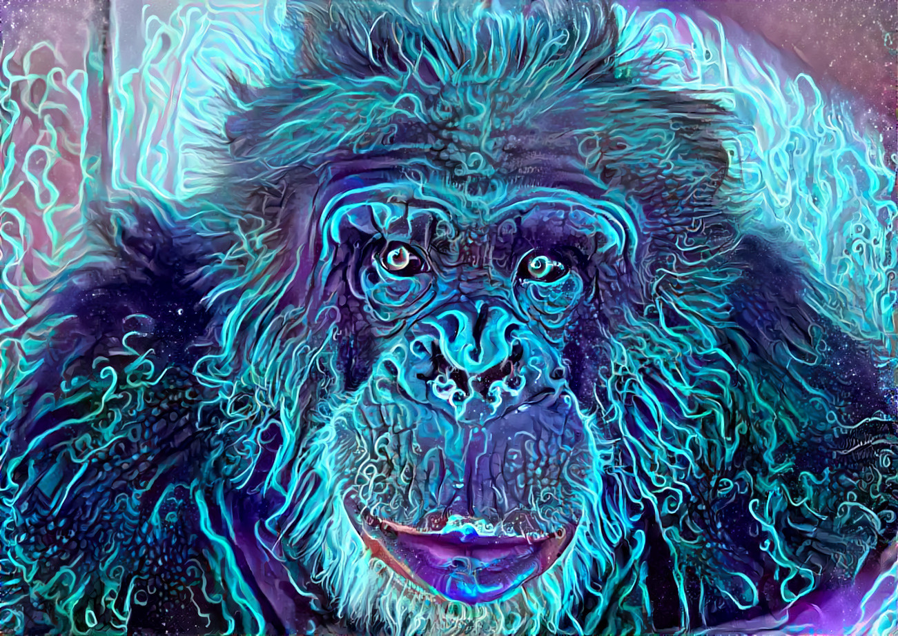 wise old chimpanzee