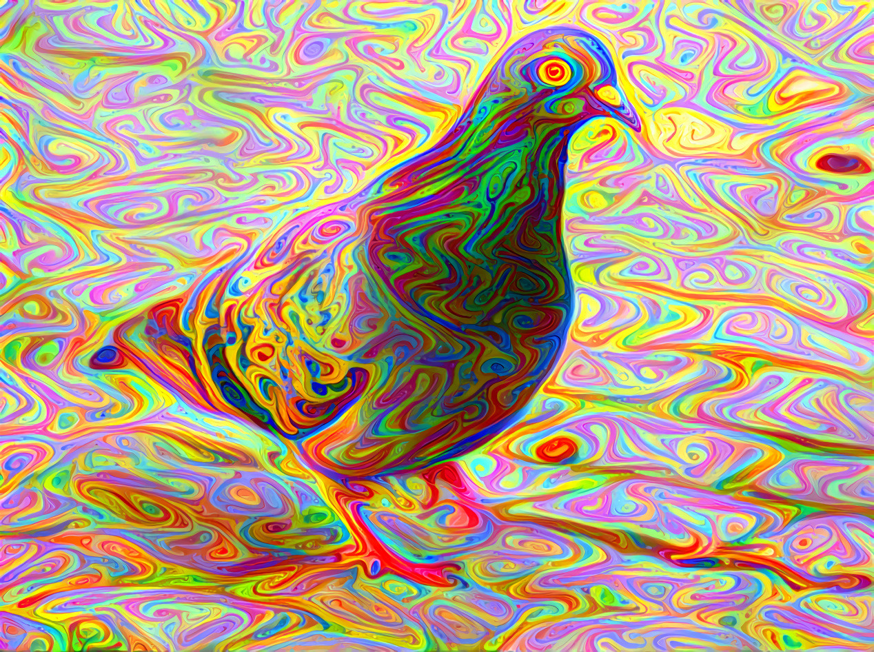 Psychedelic Pigeon