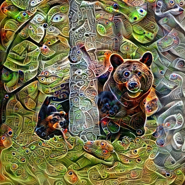 Drizzely Bear