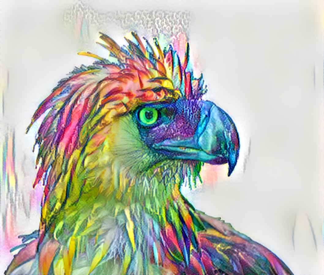 Rainbow bird
