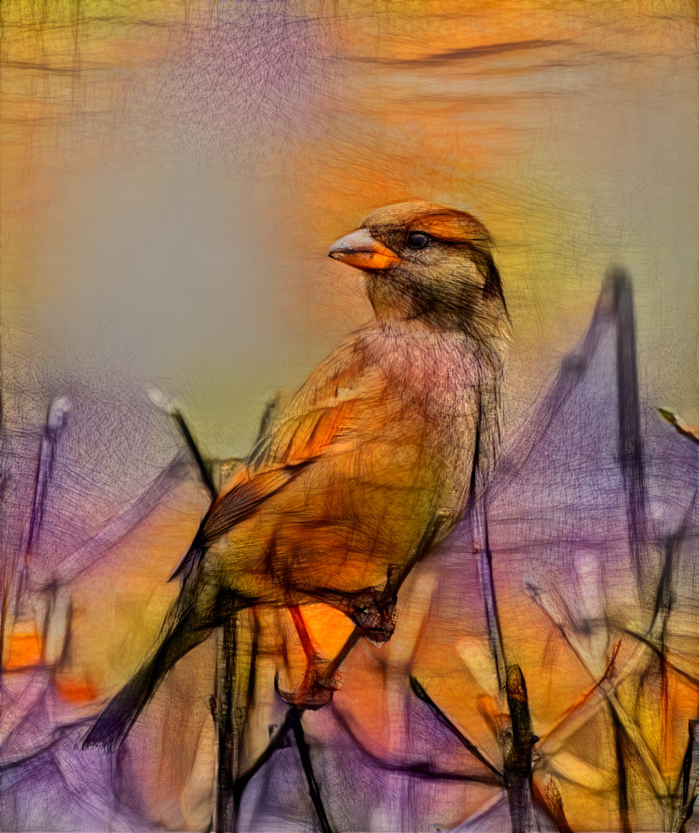Sparrow (orange, purple)