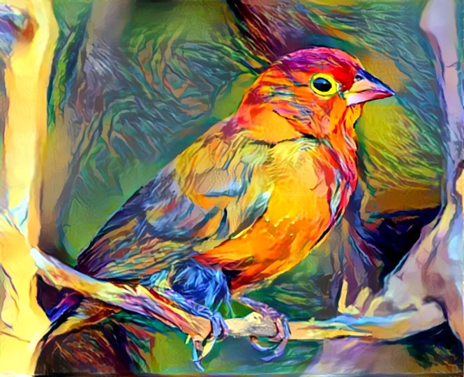 Surreal Finch  ----  CC BY-SA 4.0,  Charles J Sharp - , https://commons.wikimedia.org/w/index.php?curid=55607026