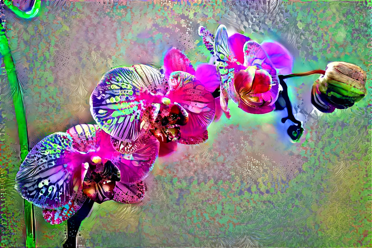 Orchid 25 be funky collage 005