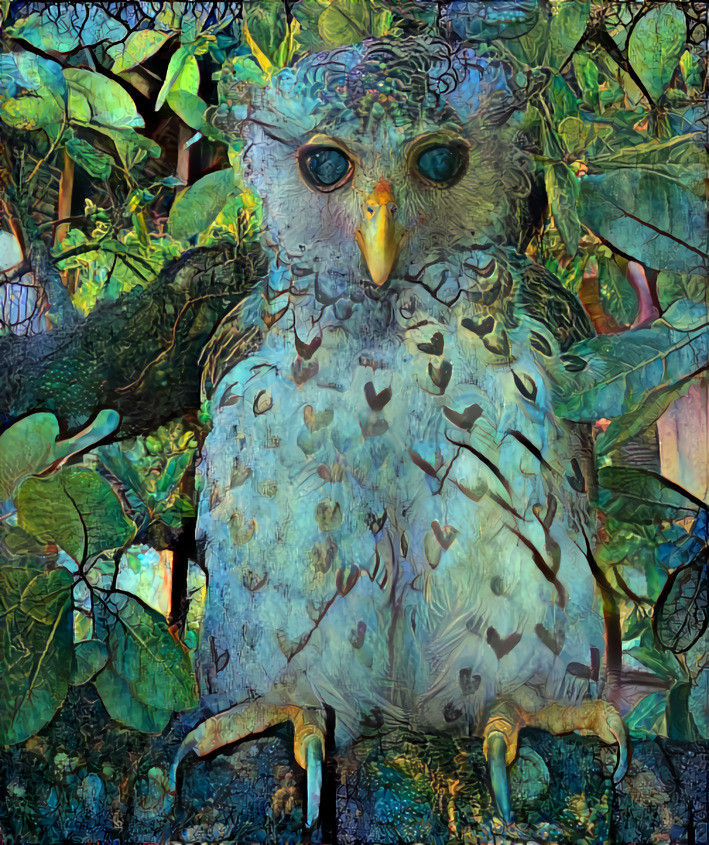 Owl of Nepal