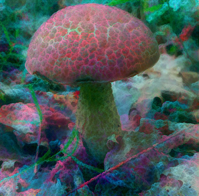 Magic Mushroom 