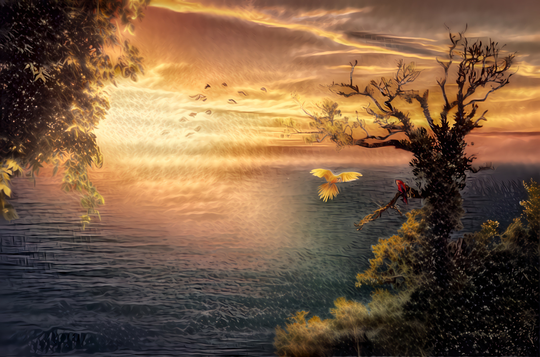 Sunset, Sea, Tree and Birds