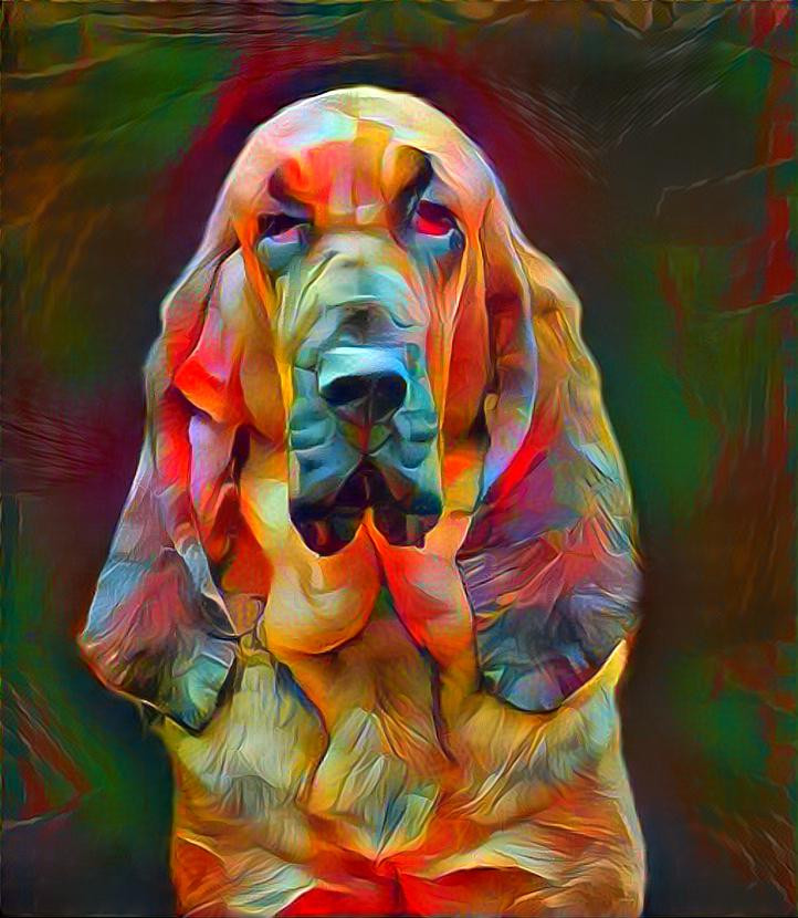 My bloodhound girl Carmen