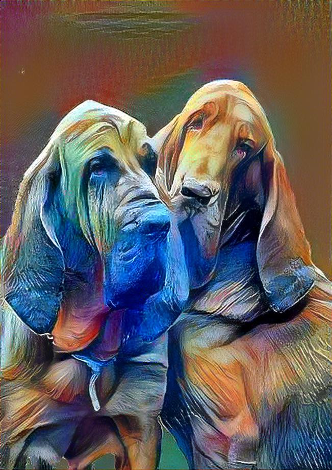 Peppino & Rufus, my bloodhounds