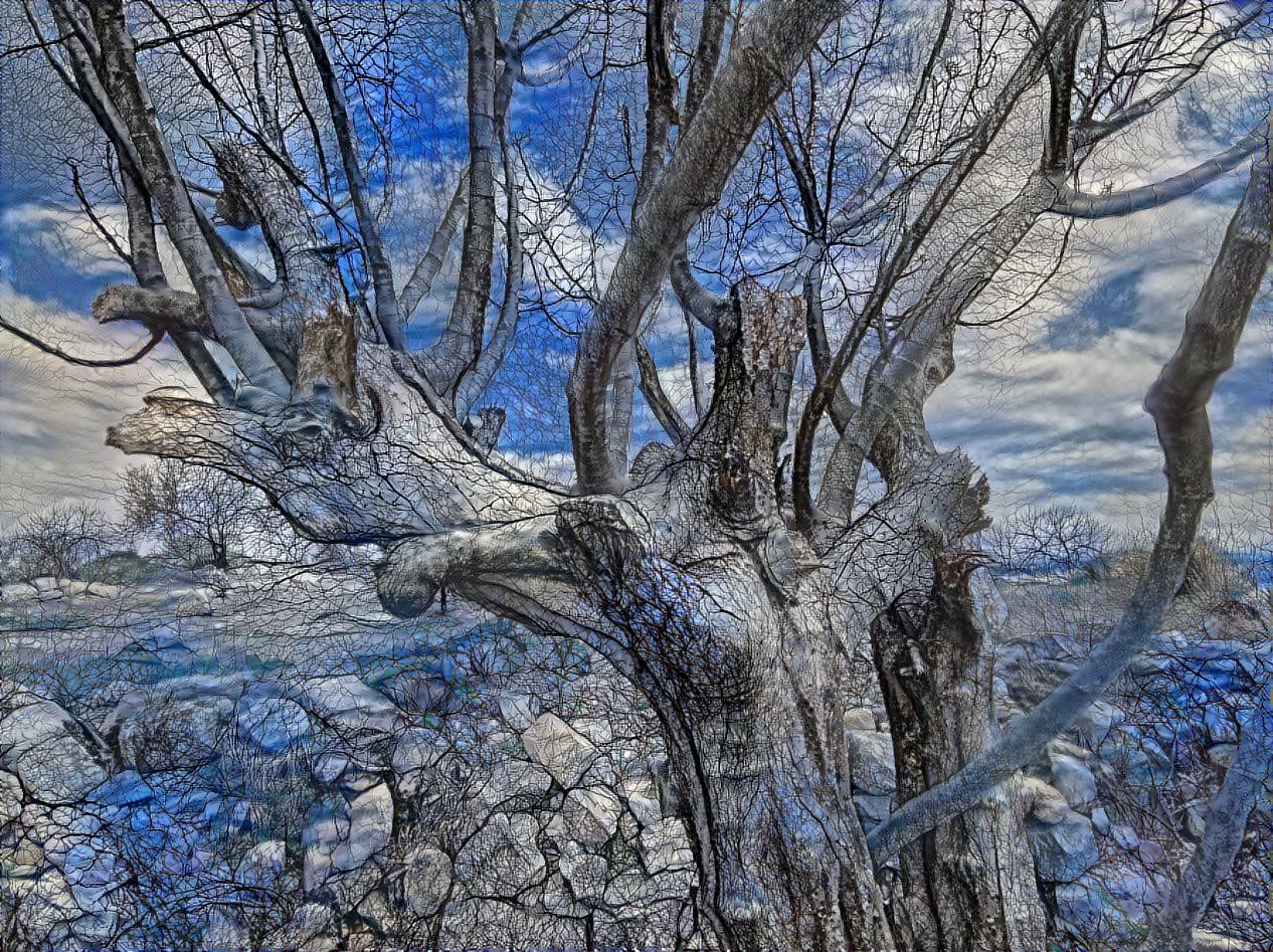 A tree of shifted reality